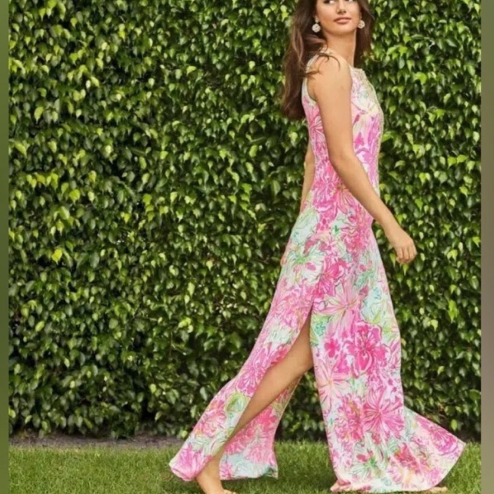 Lilly Pulitzer Carlotta Maxi Dress Koala Me Maybe Size 2 🦄